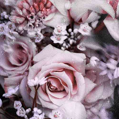 مرتضی برجسته هیزم نیمه نیمه آتیش سرخ هیمه